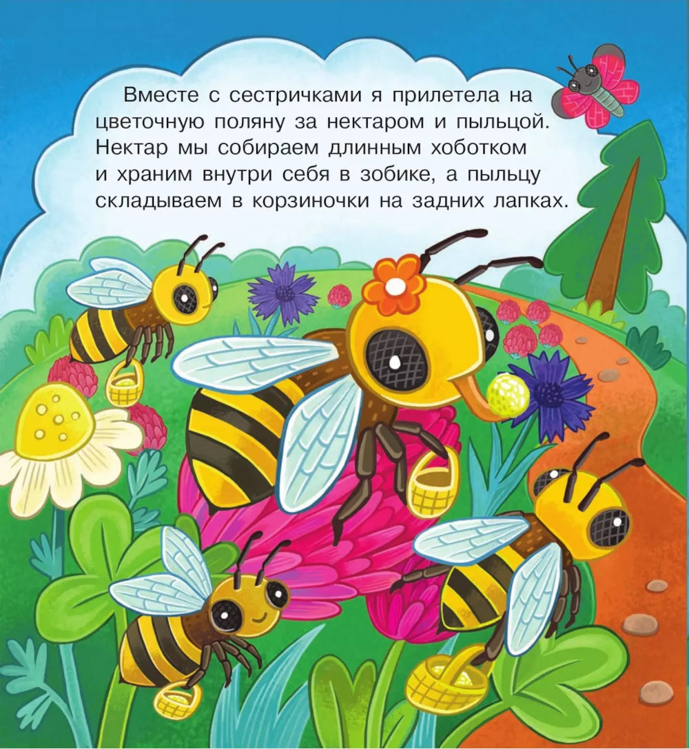 В гостях у пчелки Жужи