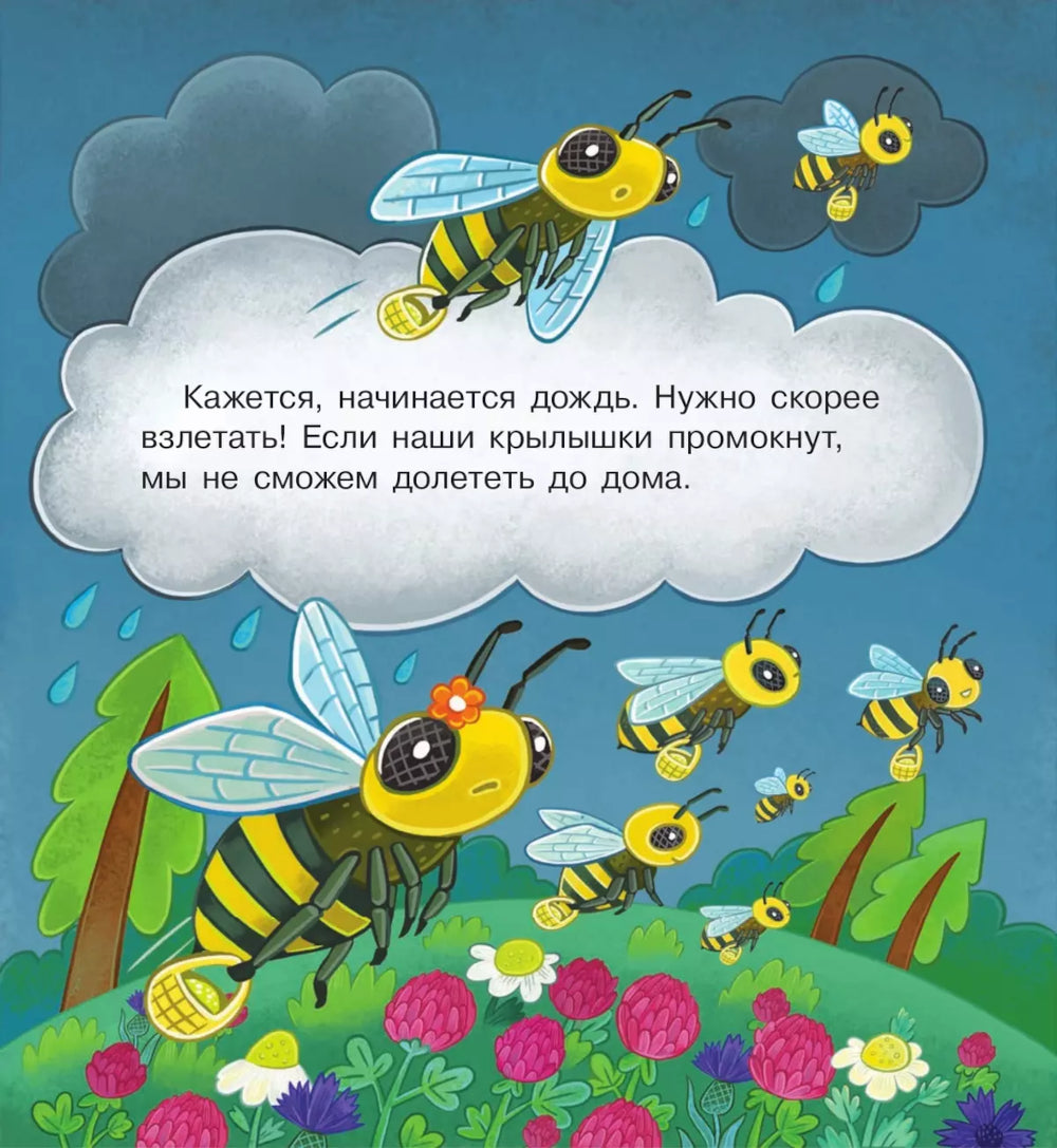 В гостях у пчелки Жужи