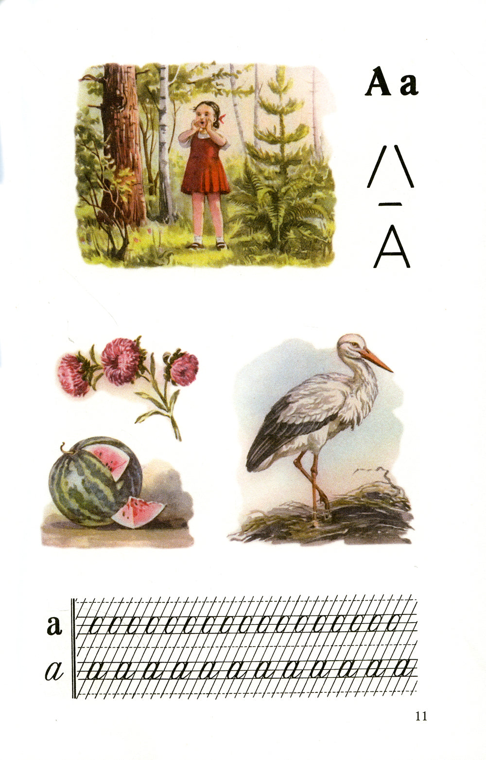 Букварь [1955]