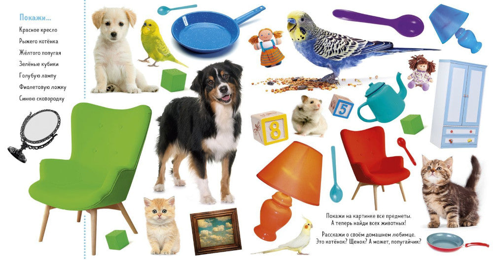 Найди и покажи. Твой дом. Фотокниги