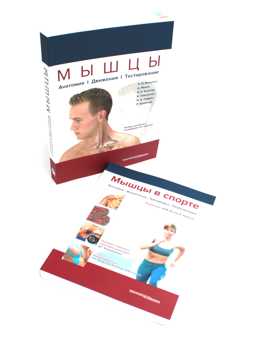 Мышцы. Anatomie. Движения. Test + Musculation dans le sport. Réabilité (ensemble de 2 livres)