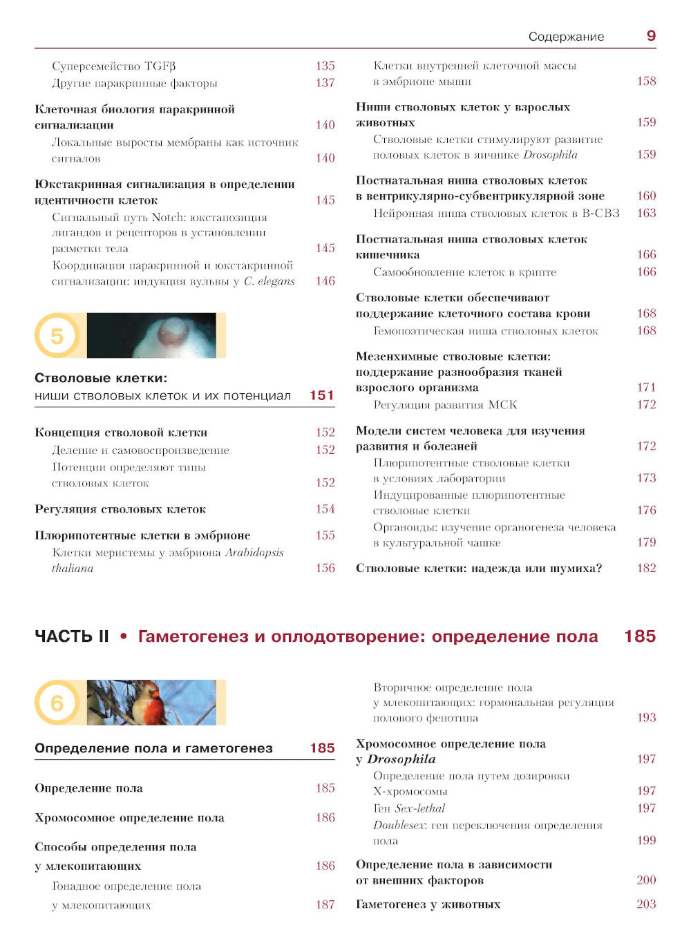 Биология развития. 2-е изд