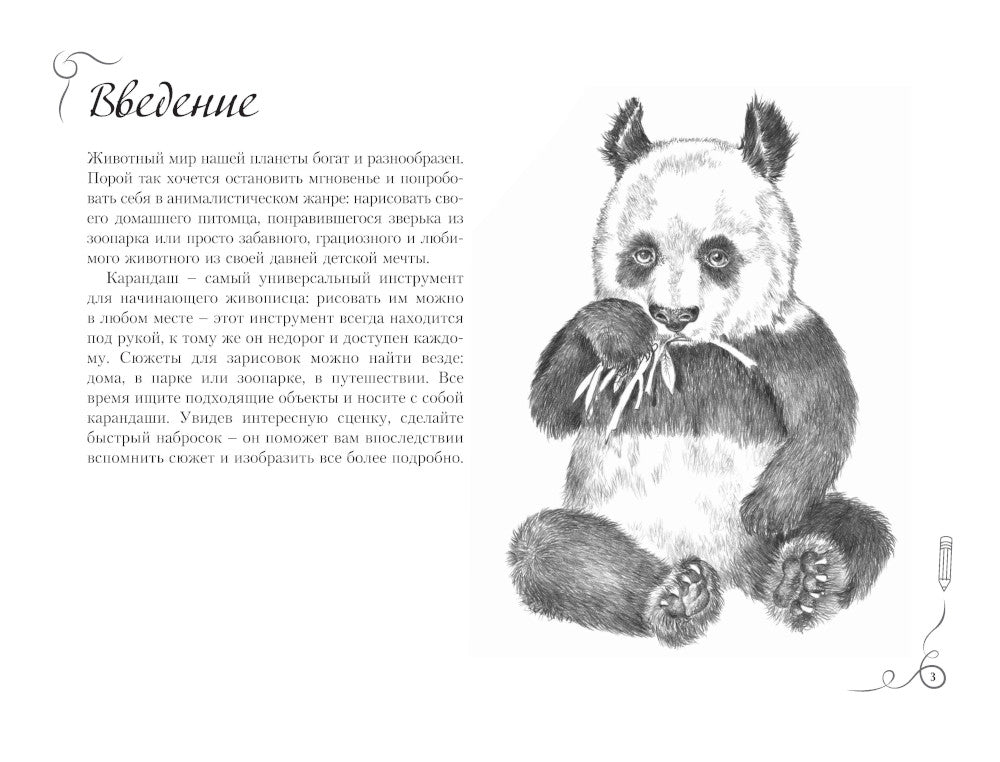 Котики, собачки, панда и все-все-все