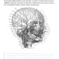Анатомия человека. Сосуды и нервы органов головы и шеи. Рабочая тетрадь для сомостоятельной работы