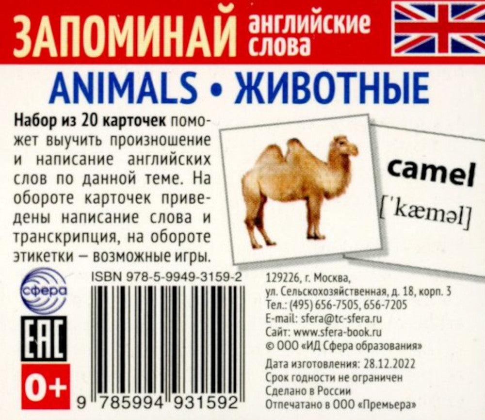 Запоминай английские слова. 5 наборов карточек для обучения