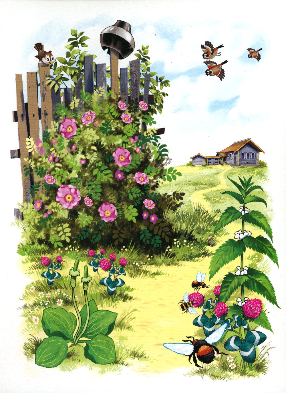 Беседы с ребенком. Лето (12 картинок с текстом на обороте, в конверте, А5)