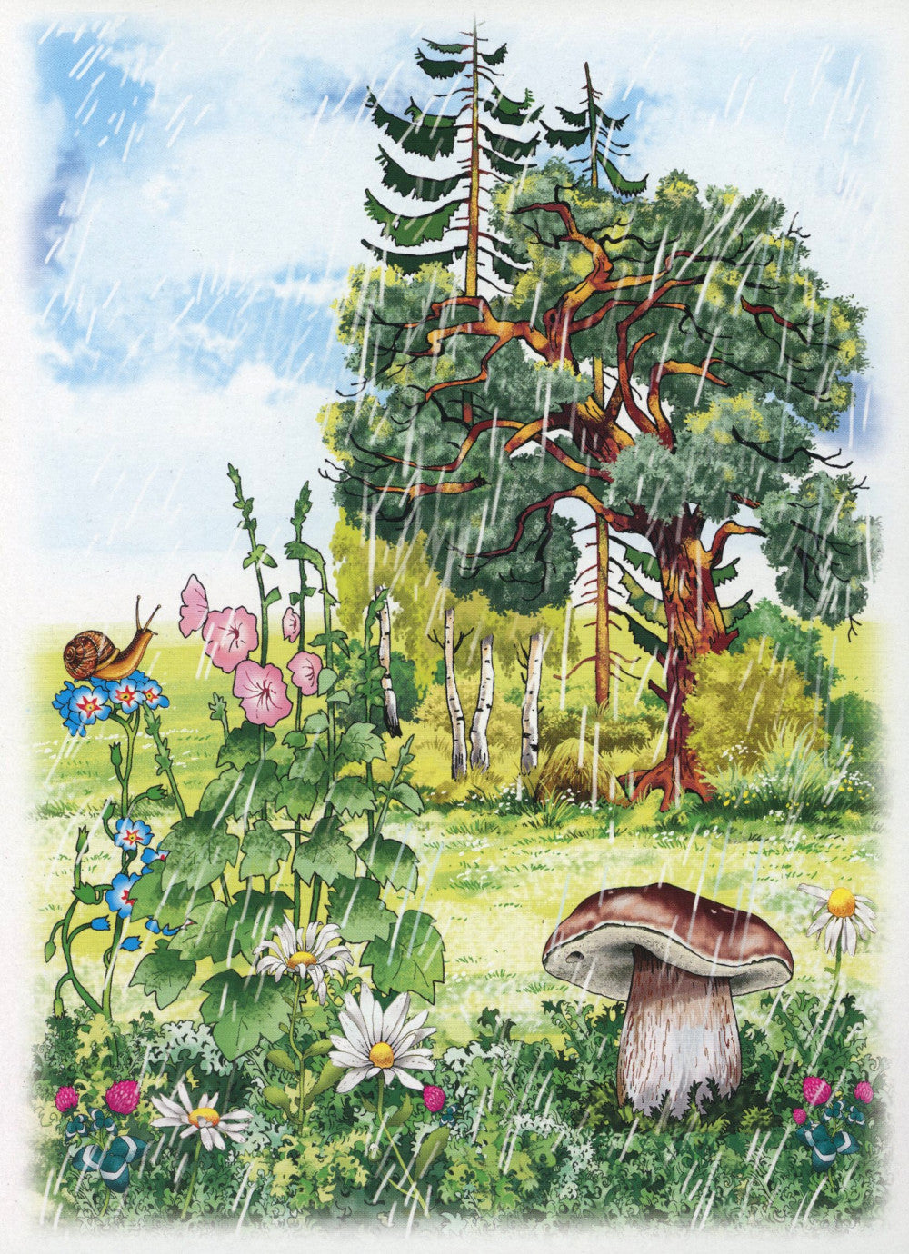 Беседы с ребенком. Лето (12 картинок с текстом на обороте, в конверте, А5)