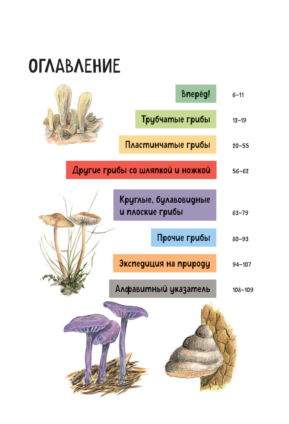Грибы. Краткий иллюстрированный справочник