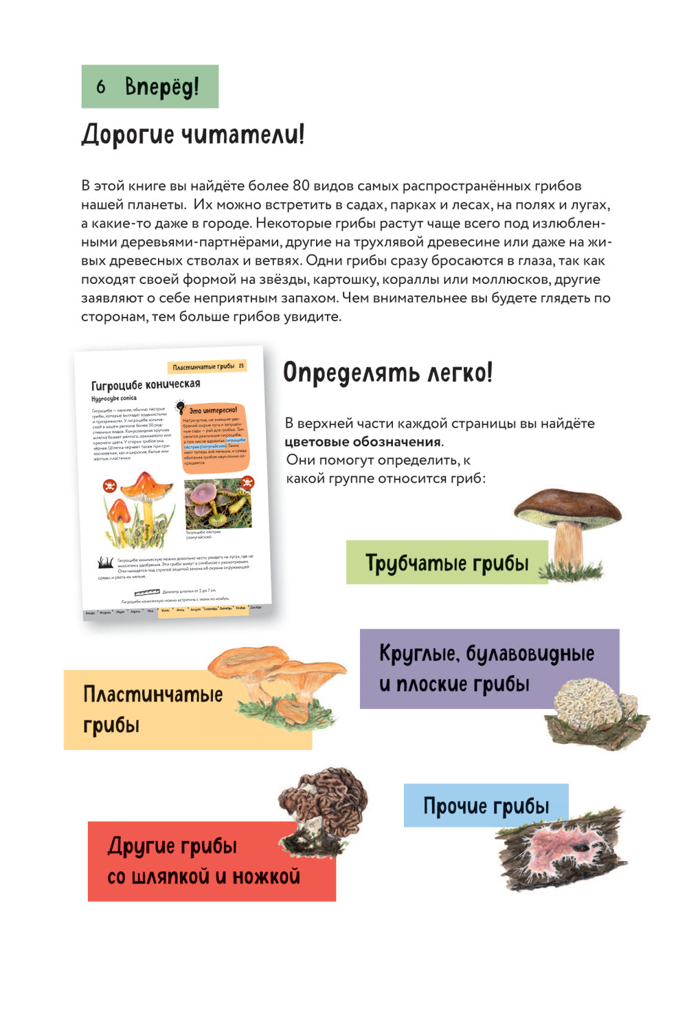 Грибы. Краткий иллюстрированный справочник