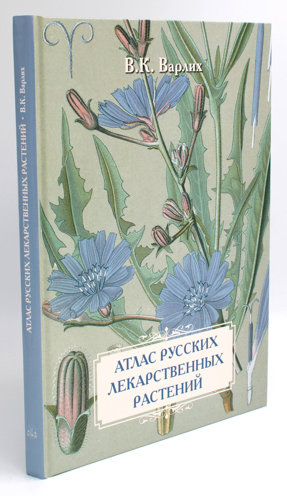 Атлас русских лекарственных растений