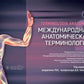 Международная анатомическая терминология [ТА2]