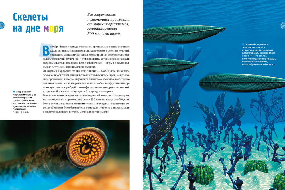 Тайны морей и океанов. Большая иллюстрированная энциклопедия