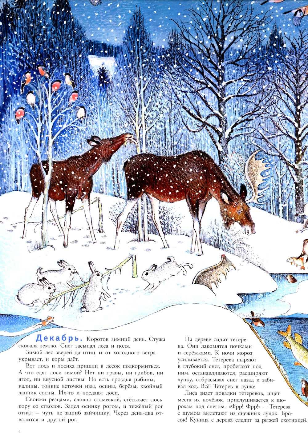 En savoir plus : encyclopédie des cartes