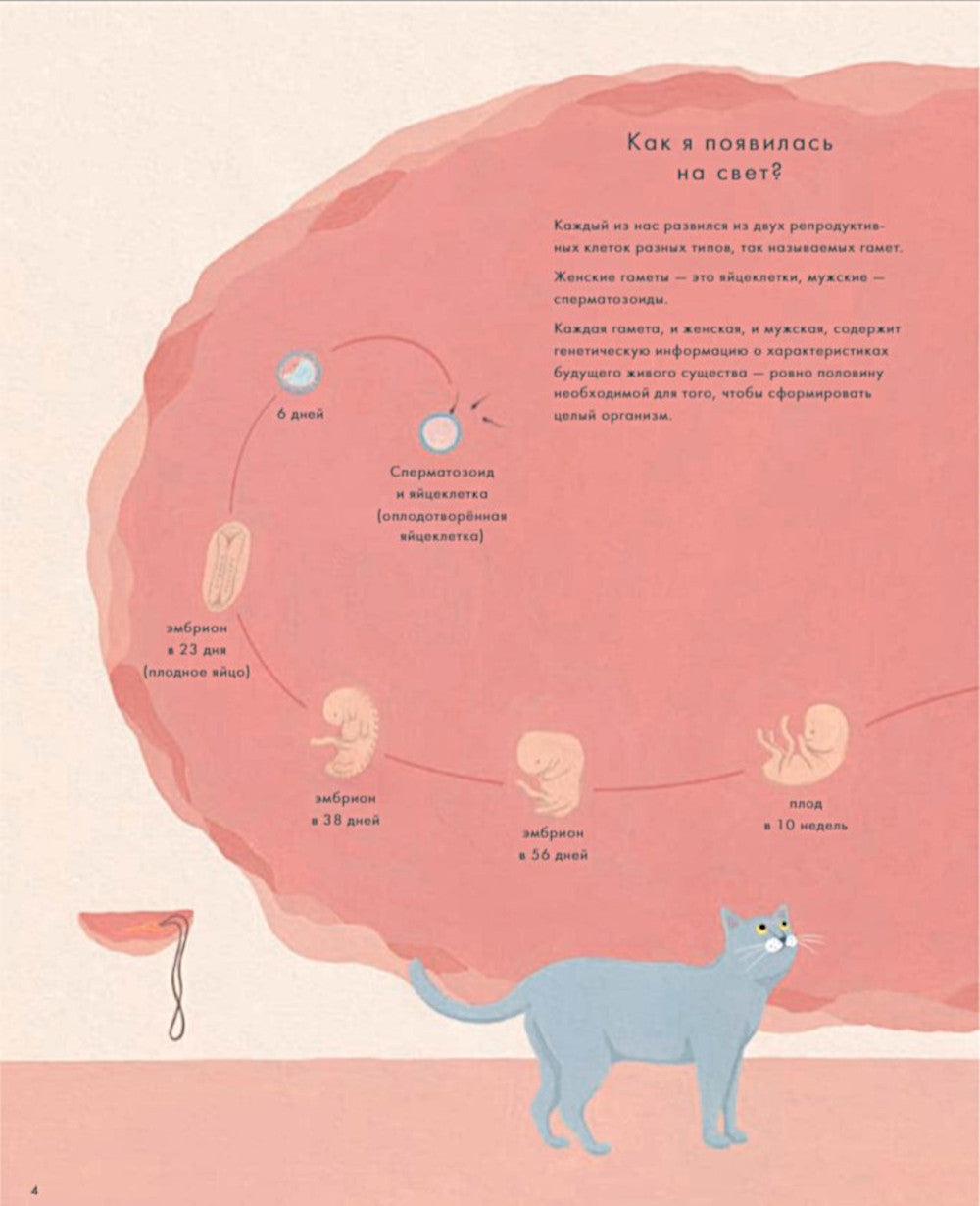 Ключ к себе. Книга для знакомства с самим собой