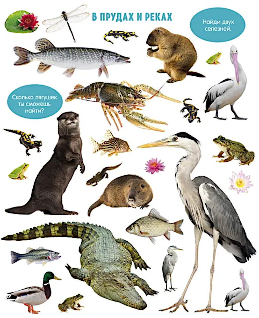 Большая книга малыша. Животные