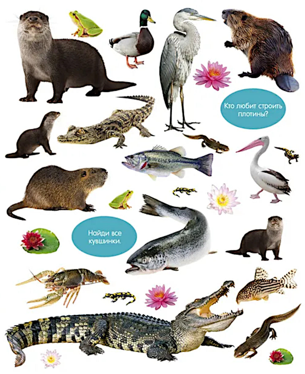 Большая книга малыша. Животные