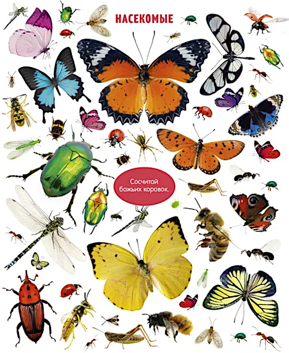 Большая книга малыша. Животные