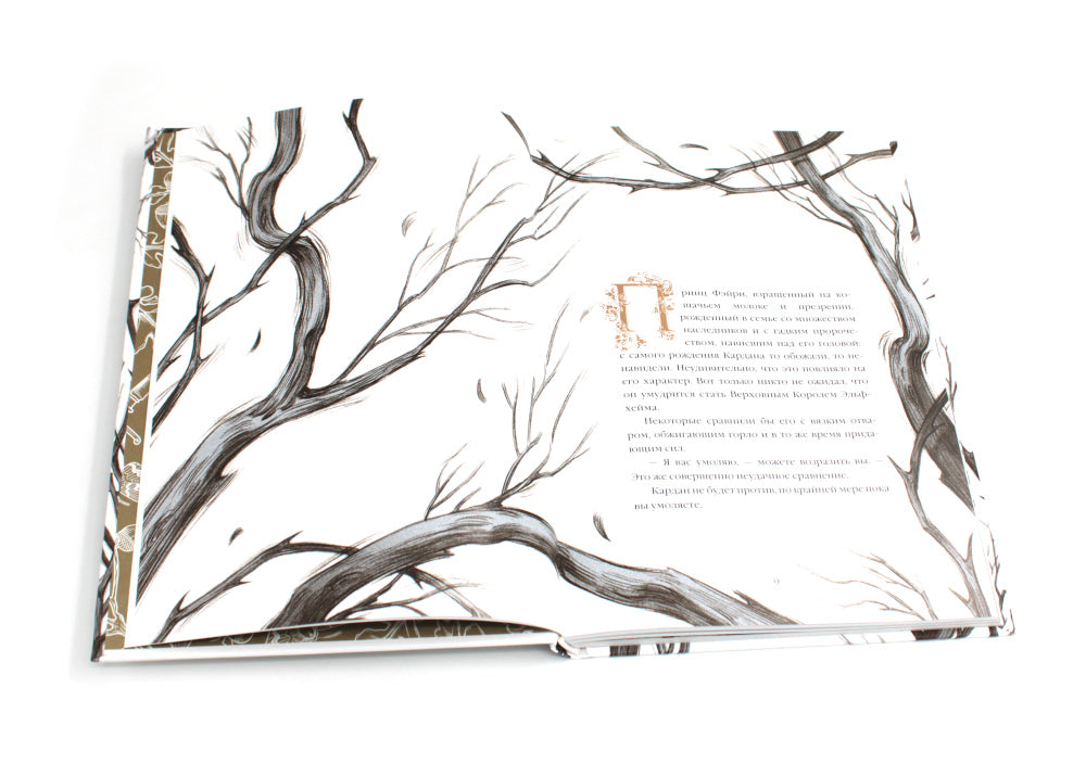 Злой король; Жестокий принц; Королева ничего; Как король Эльфхейма научился ненавидеть истории (комплект из 4-х книг)