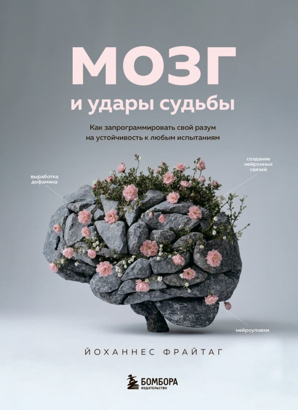 Мозг и удары судьбы. Как запрограммировать свой разум на устойчивость к любым испытаниям