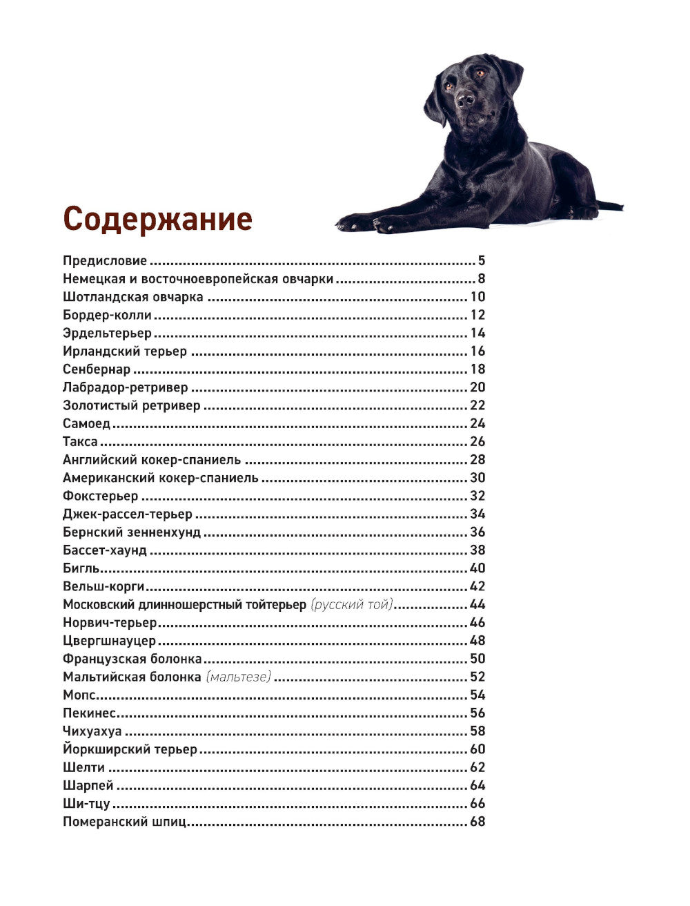 Собаки. Самая необычная порода. Большая иллюстрированная энциклопедия