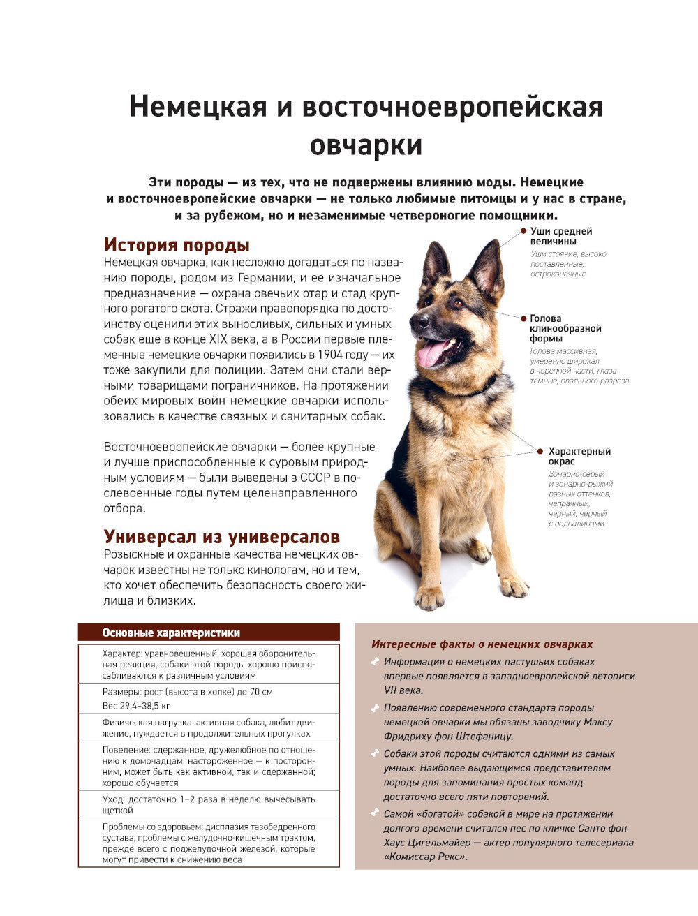 Собаки. Самая необычная порода. Большая иллюстрированная энциклопедия