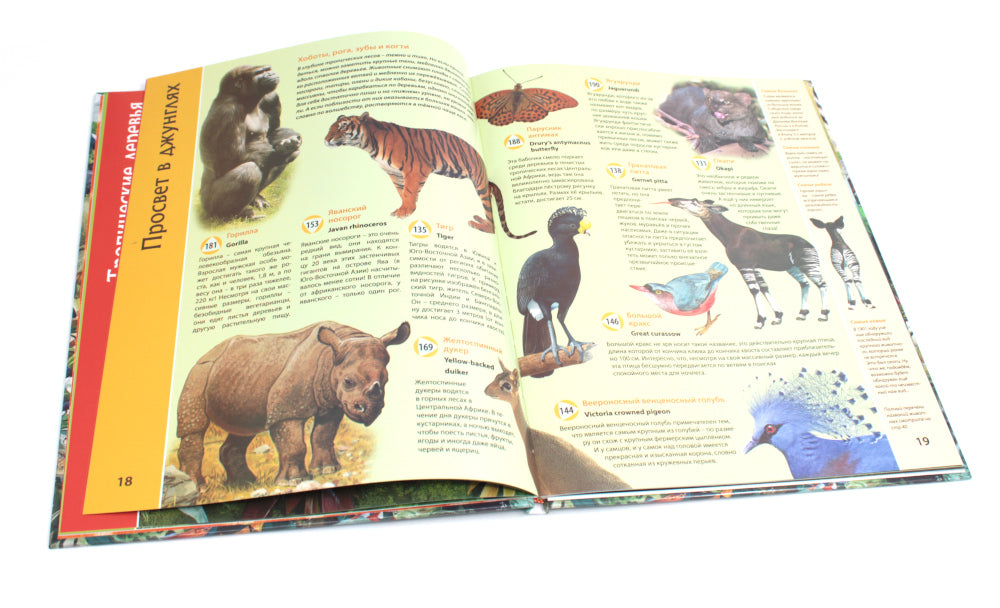 Планета животных книга; Говорящая ручка (память 4Гб + аудиостикеры). Complexe
