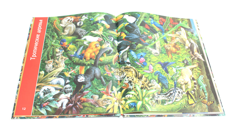 Планета животных книга; Говорящая ручка (память 4Гб + аудиостикеры). Complexe