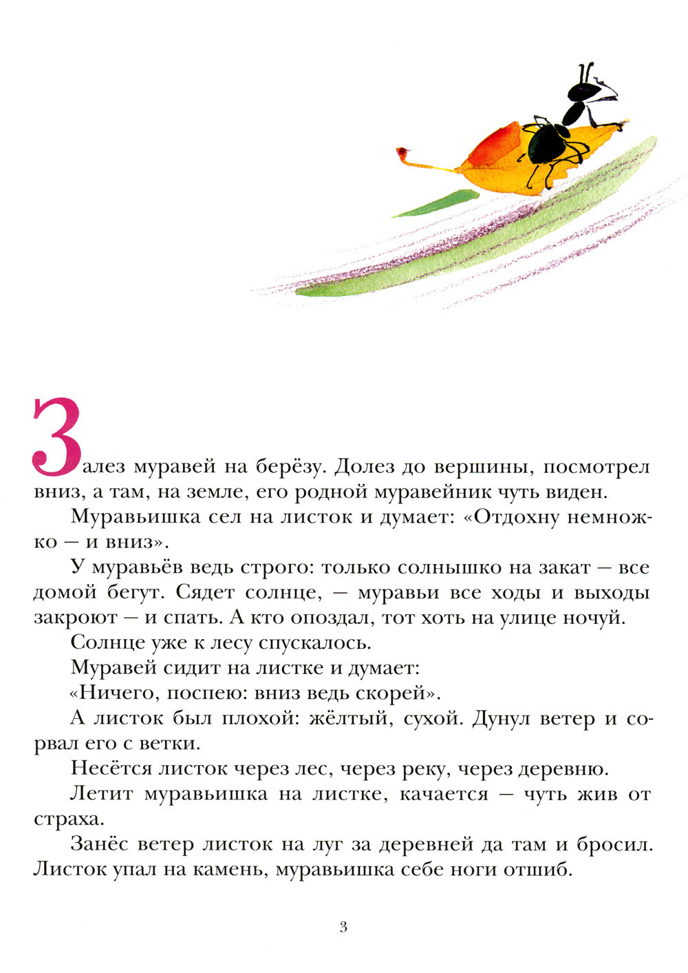 Comment est la maison privée