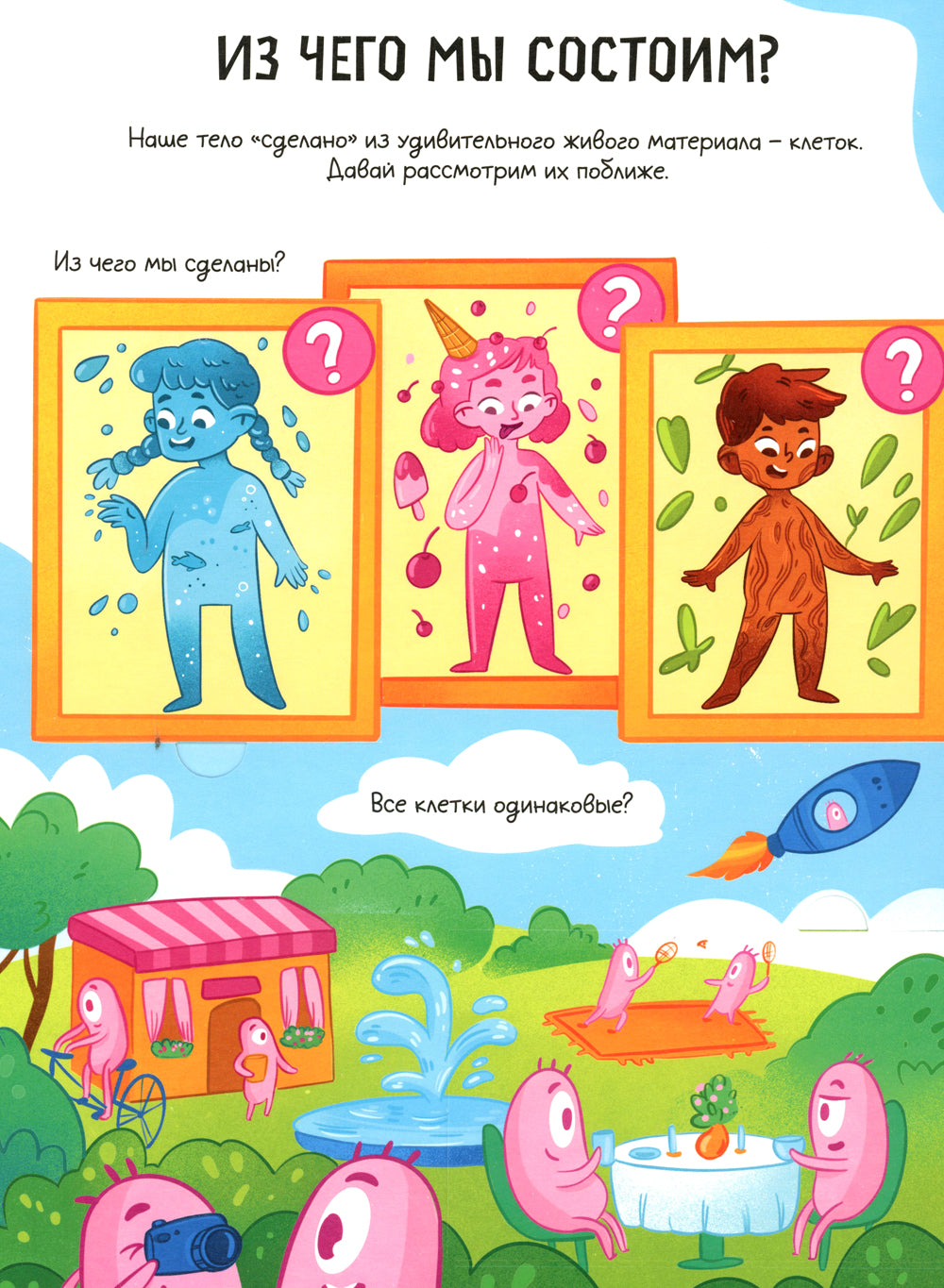 Тело человека. Открывай и изучай!: книга с окошками