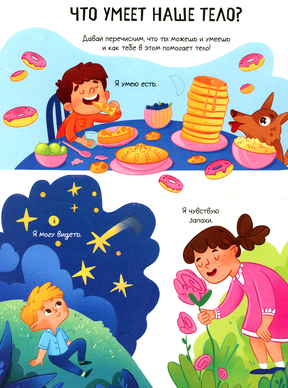 Тело человека. Открывай и изучай!: книга с окошками