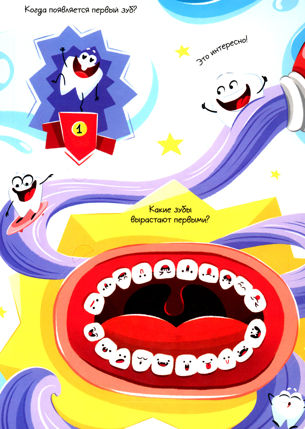 Все о зубах. Открывай и изучай!: книга с окошками