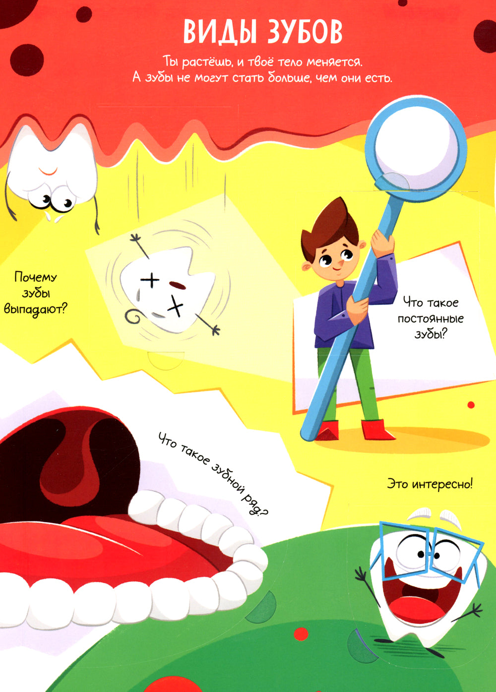 Все о зубах. Открывай и изучай!: книга с окошками