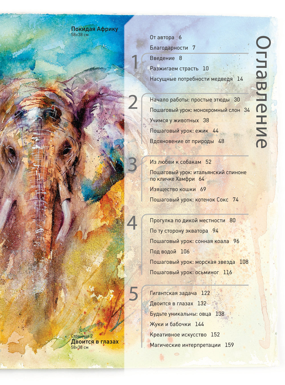 Животные акварелью от Джин Хэйнс. Медитативное рисование для контакта с собой и природой