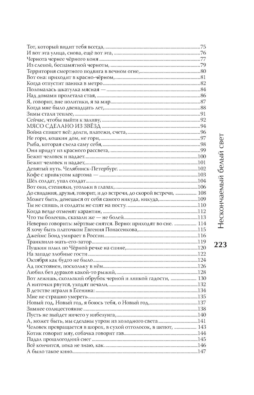 Нескончаемый белый свет: стихи