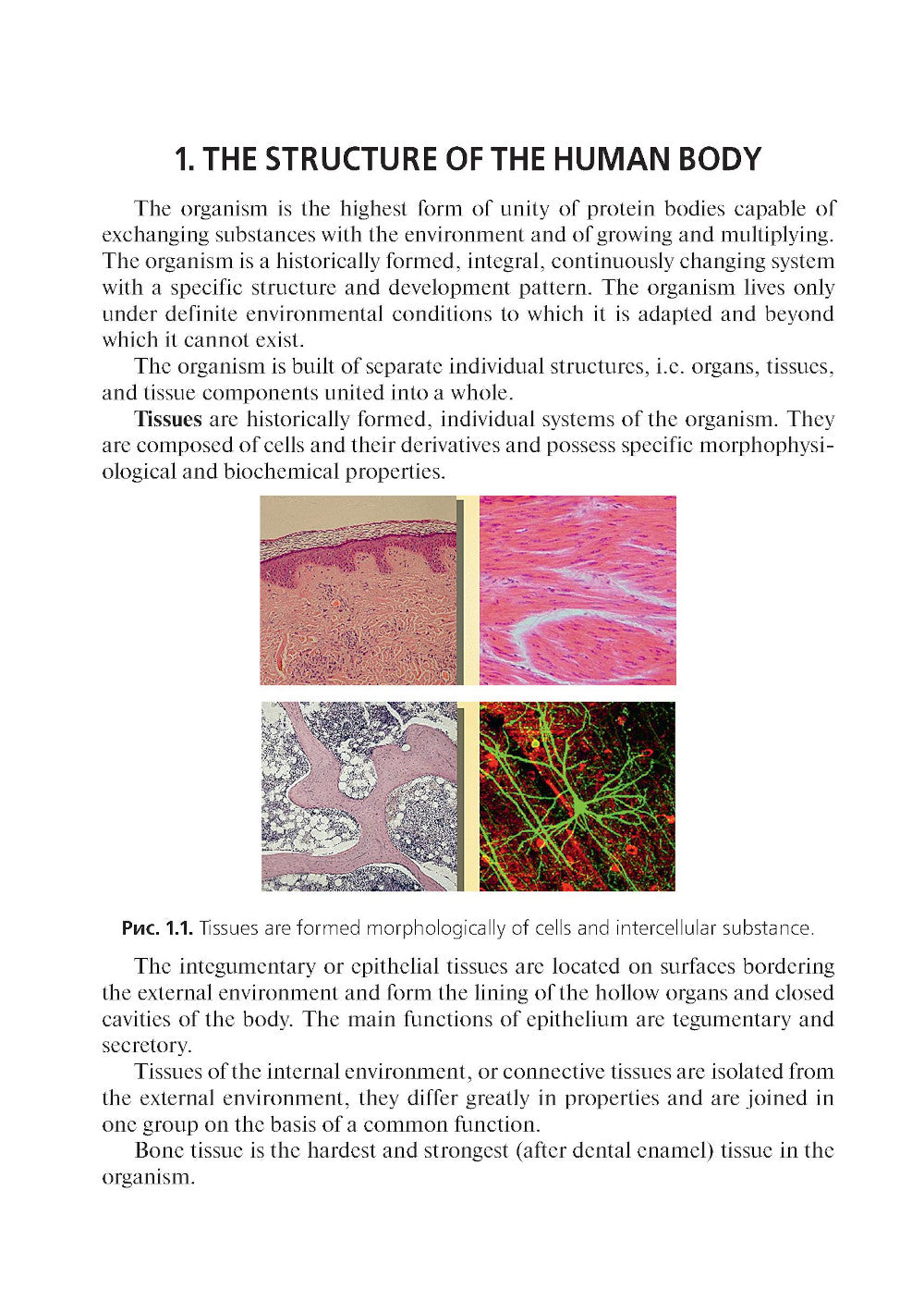 Английский язык для фельдшеров: учебник