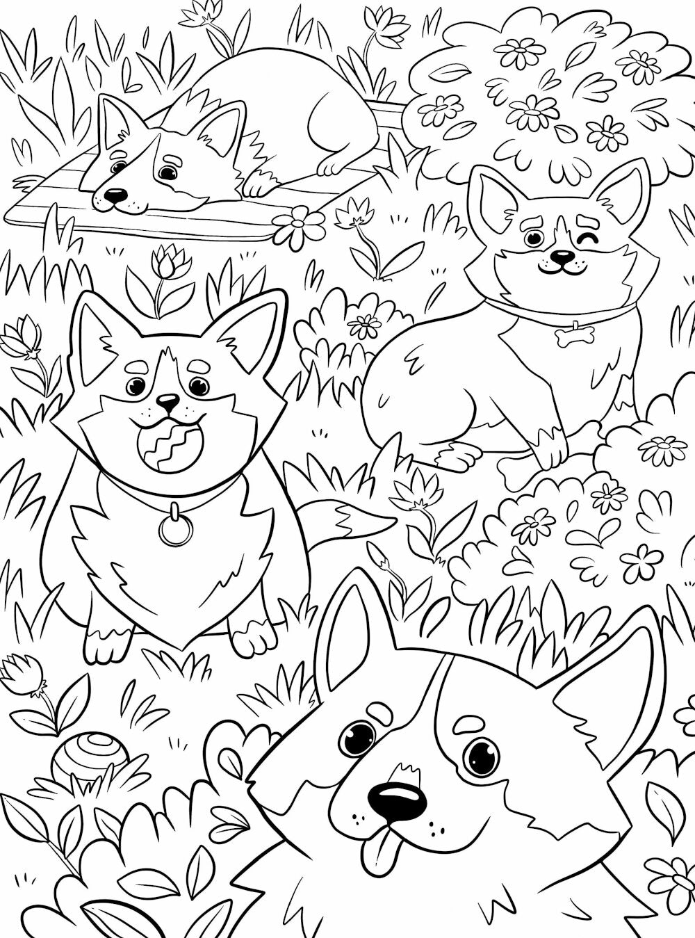 Милые животные. Раскраска
