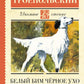Белый Бим черное ухо: повесть