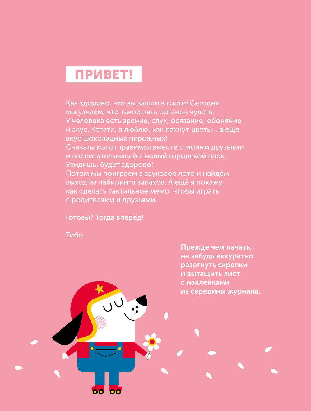 Tibo. Maintenant, vous pouvez jouer avec votre chat. Пять чувств