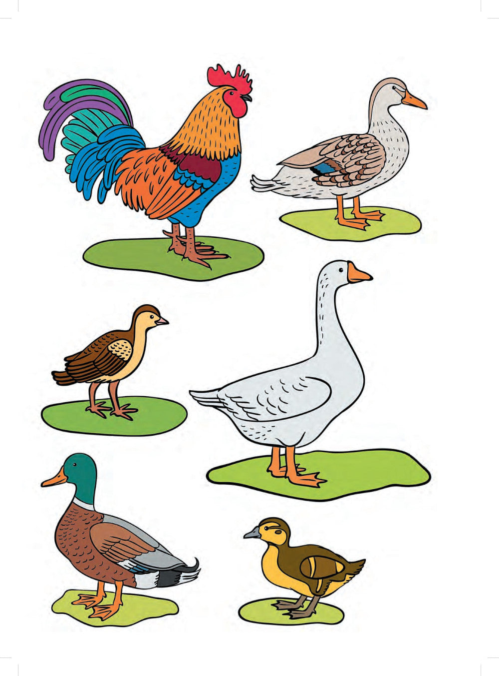 Домашние птицы и их детеныши. Дидактический материал по лексической теме. С 5 до 6 лет