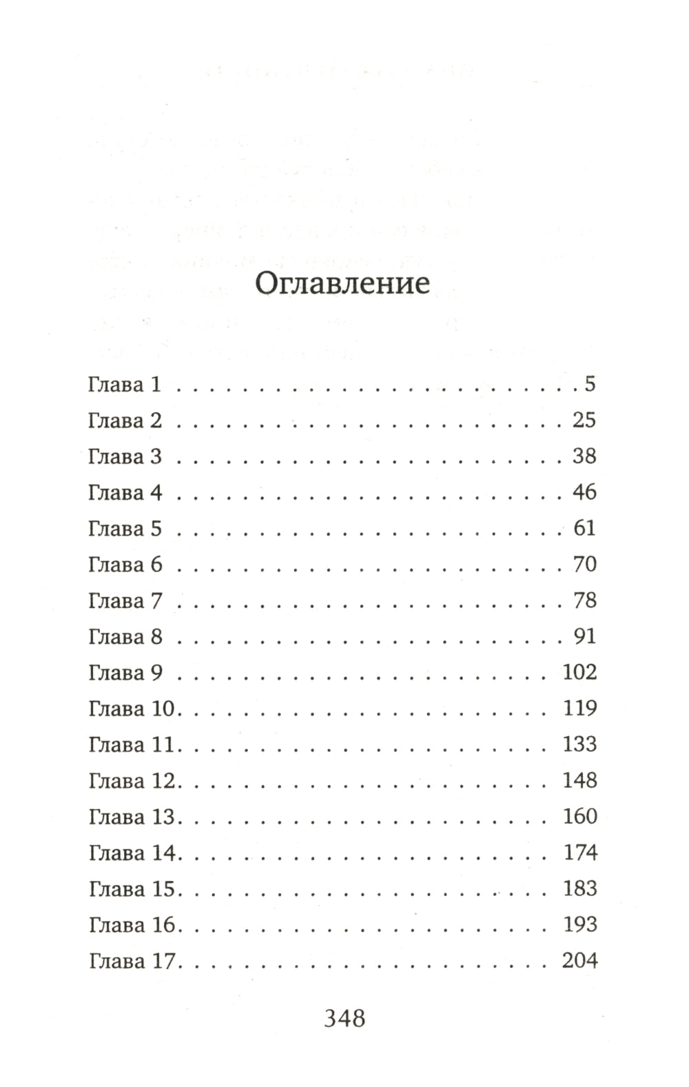 Зона турбулентности: роман