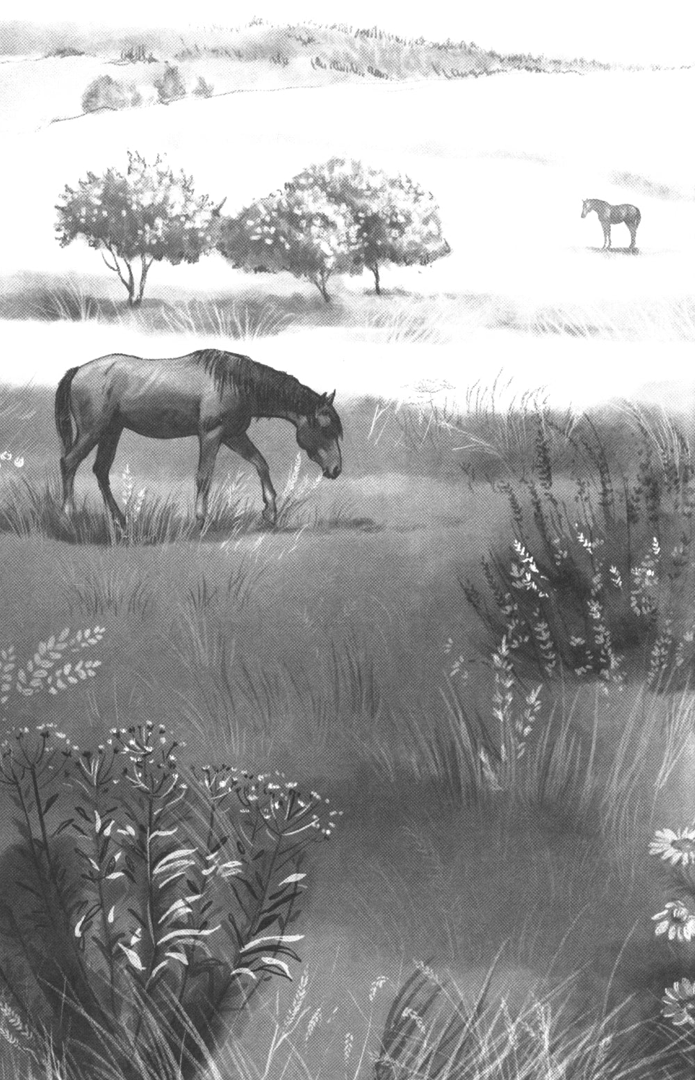 Галопом навстречу. 2-е изд