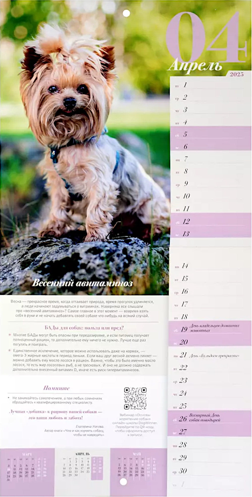 ПРО собак: четыре сезона. Calendrier prévu pour 2025