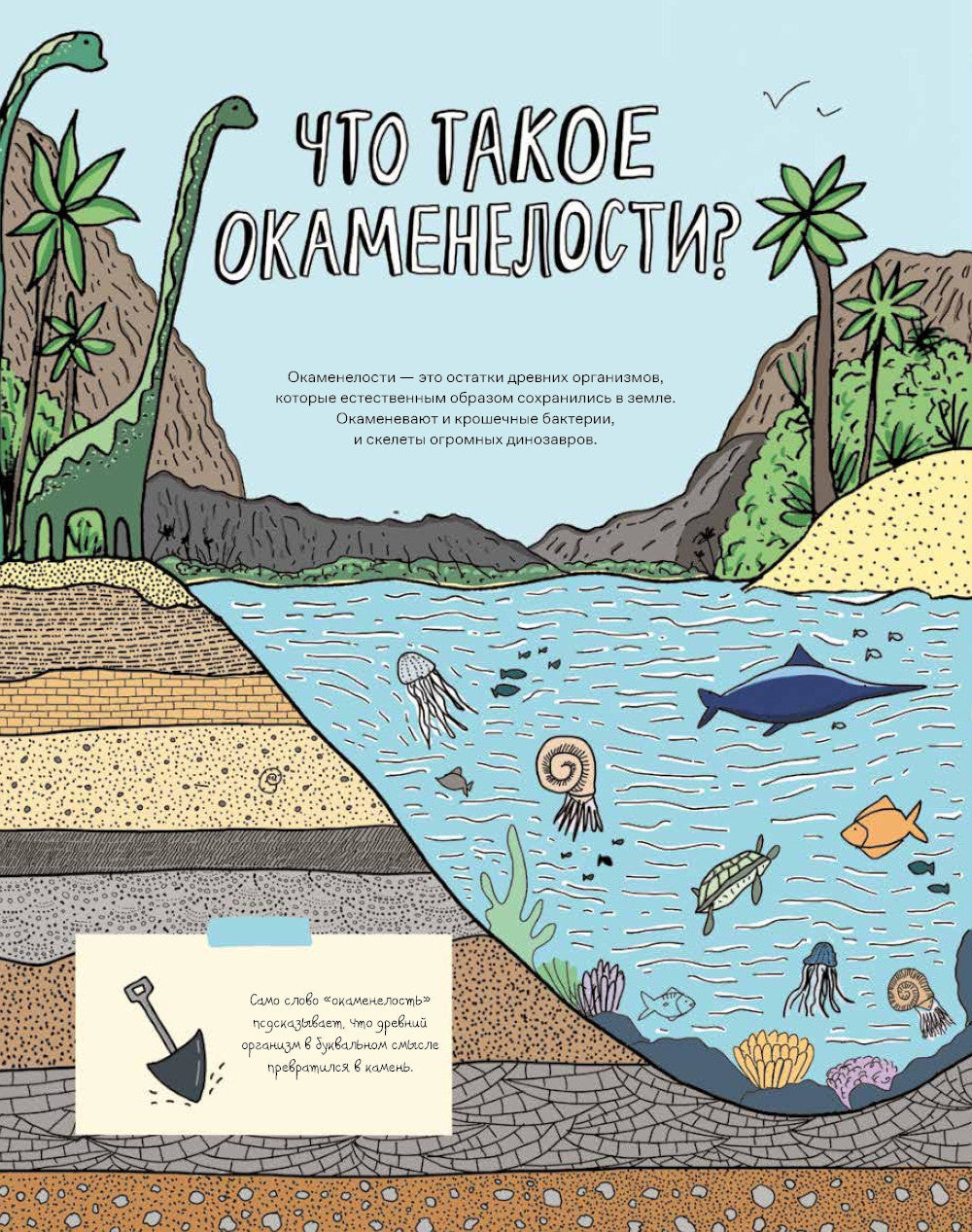 Камни и кости: Окаменелости и истории, которые они рассказывают