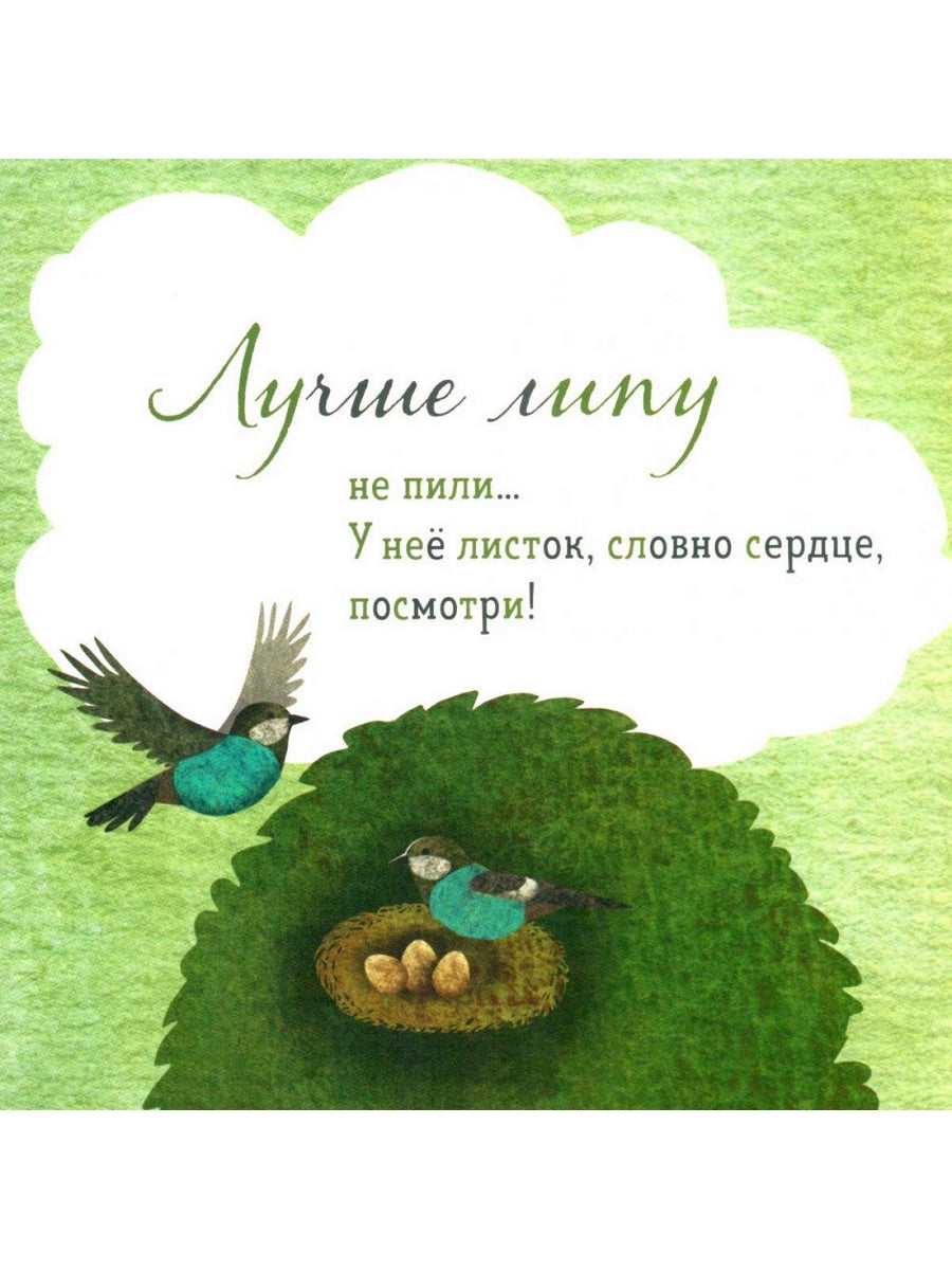 Где твое деревце?