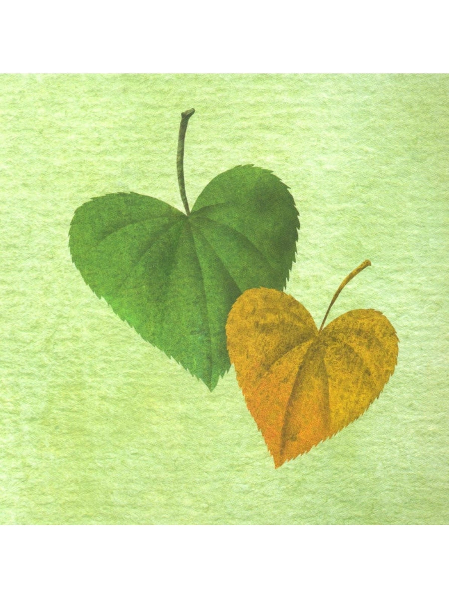 Где твое деревце?