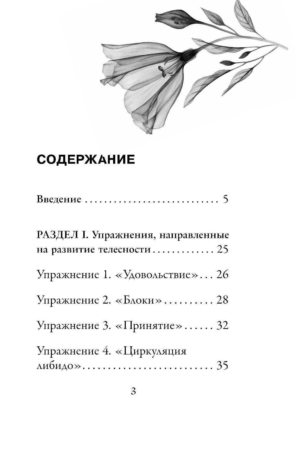 Источник желания. Метафорические карты для пробуждения энергии творчества и сексуальности + руководство