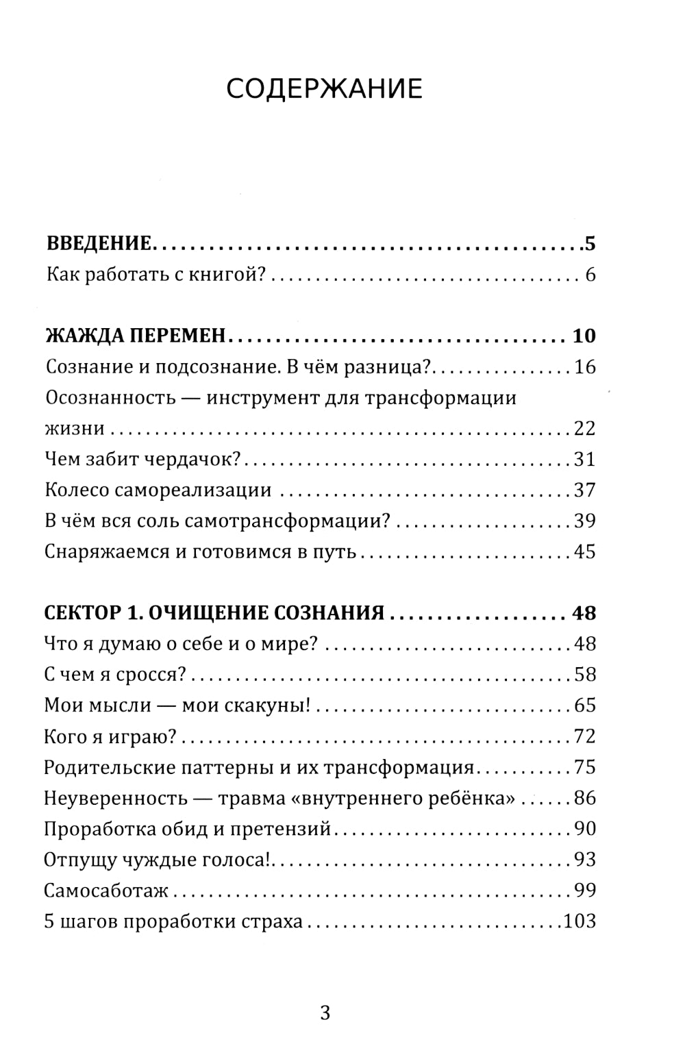 Колесо самореализации. Пошаговое руководство по трансформации жизни. Книга-тренинг