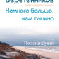 Немного больше, чем тишина. Сборник стихов