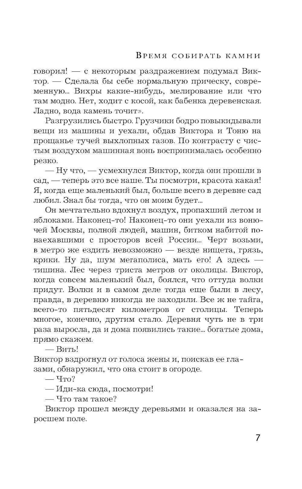 Время сбора камней: роман