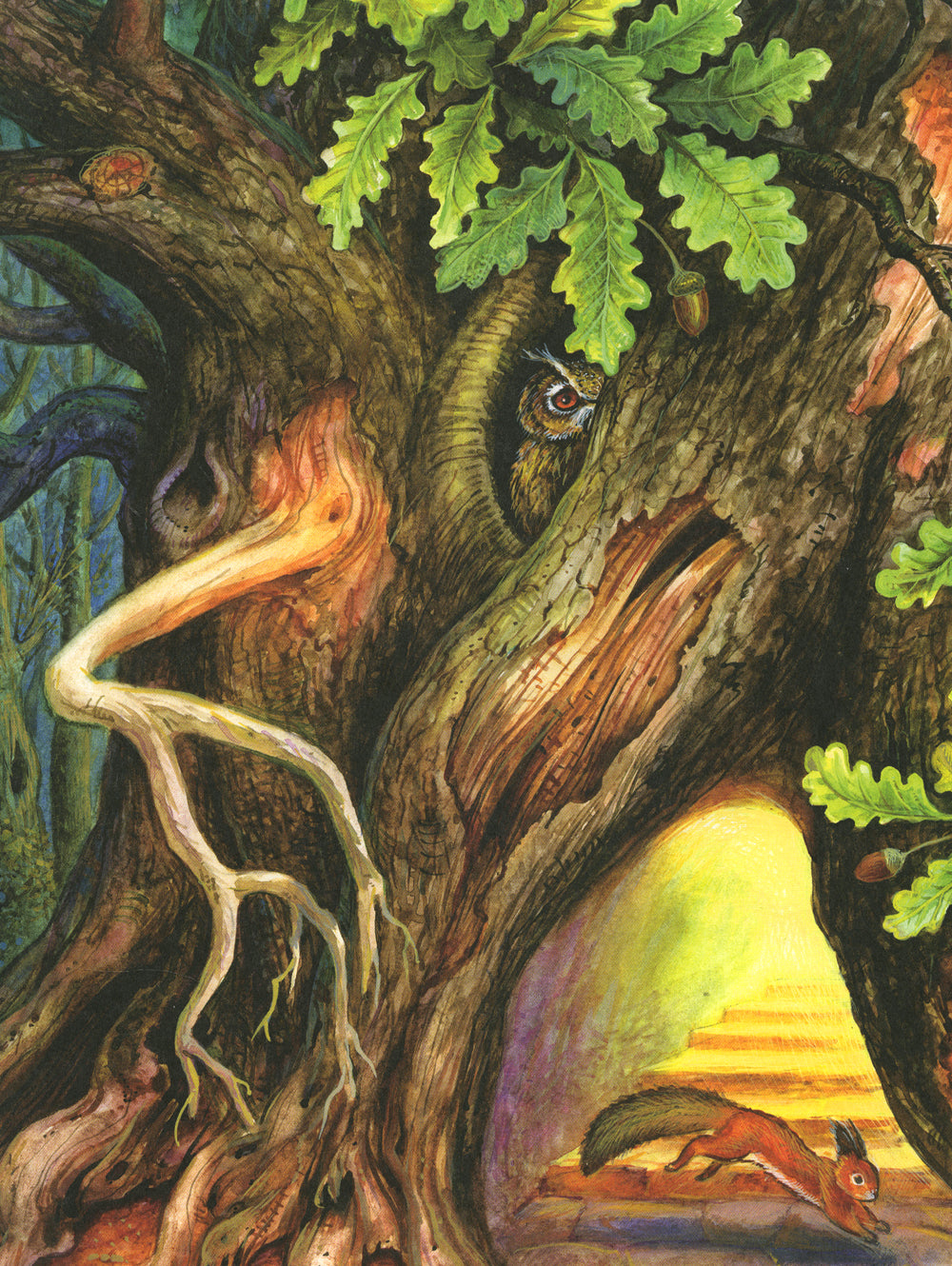 Лес чудес. Энциклопедия для детей